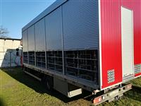 Pokaż zdjęcie w powiększeniu Gołębie zdjęcie